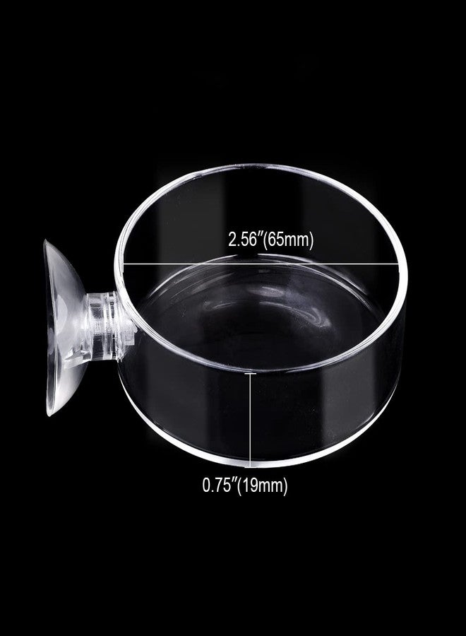 Dannisly Aquarium Glass Feeder Shrimp Feeding Dish Round Clear Fish Tank Food Tray Container Prevent Food Spilling with Suction Cup, 65mm - Image 3